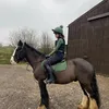 tabiblackjack