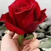 user4598112967810