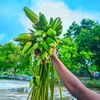 𝐀𝐋𝐀𝐌𝐈𝐍(প্রকৃতি প্রেমিক)