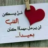 user5833188383061