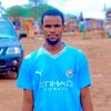 alphadiallo8177
