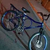 zago_244_