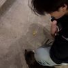 zd_piya