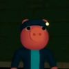 insolationgeorgie