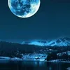 susu_8596