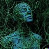 VineofConsciousness