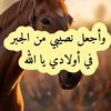 user22232079106928