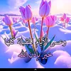 user8187026101988