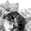 aylin_garciax