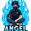 notificacin44029