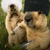 chebupelka_7