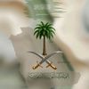 youssef_ali_6