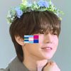 yeodove