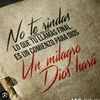lachicar2