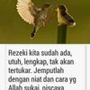 manaf.kalbu