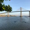 tamillysilva28
