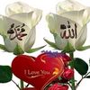 marwatussh