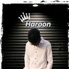 haroonshahzad381t