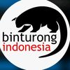 Binturong Indonesia