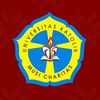 ukmc.palembang
