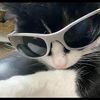 mellaaaaw_