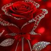 muhmmad.ahmar988