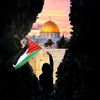 mansour.mohamed66