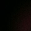 dindinn_631