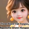 nur.aminahnur325g
