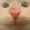 iiuuuuu49