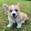 juliethe_bully