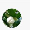 user76069093501858