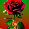 nafkot.selam