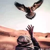 gh_ubo