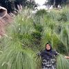 musyarofah805