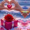 kiin.xusen