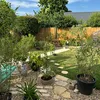 westcountrygardener