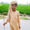 malik.zafar8033