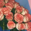 khakuz_777