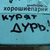 zoriktrava11
