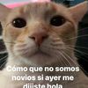 novitaqp