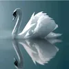 white_swan99