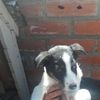 florescadanielito