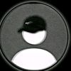 joel.q.a1
