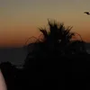 sumea.mehmeti