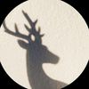gazall986_111