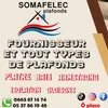 somafelec2