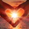 nausheen_alam_75