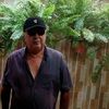 carlos.novelty.ar