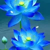 qunh.vtv.hy